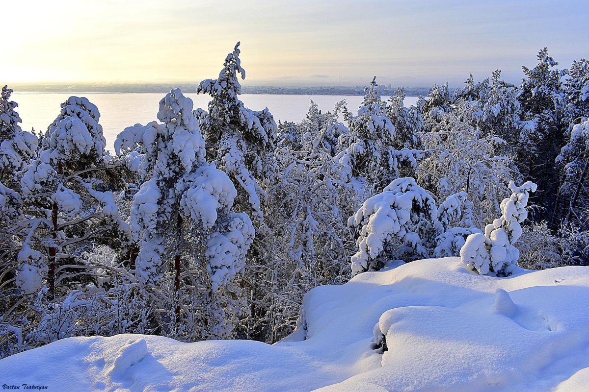 Тур "Новогодний уют в сердце Карелии"