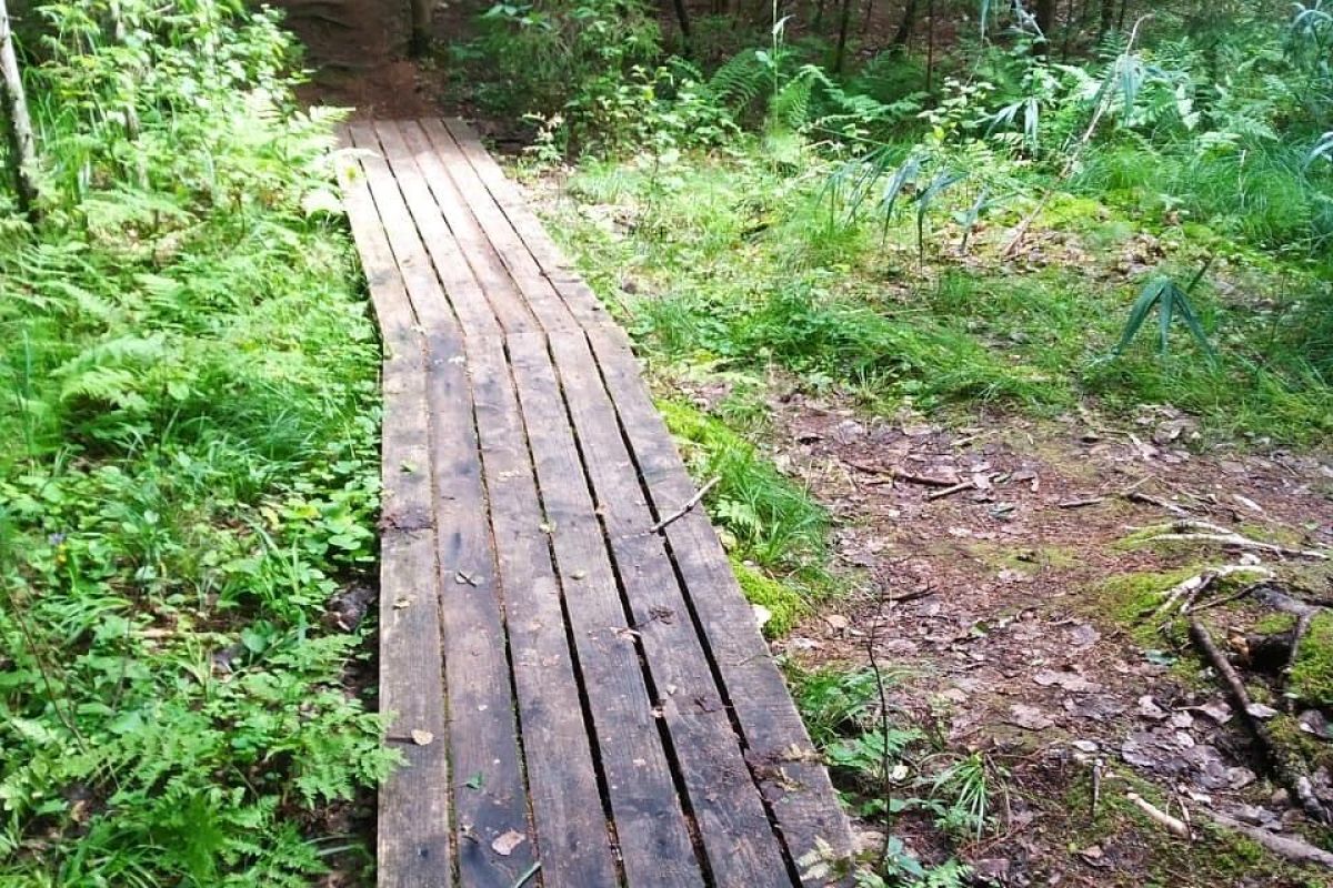 "Экология природы - экология души". В рамках проекта "Классная страна"