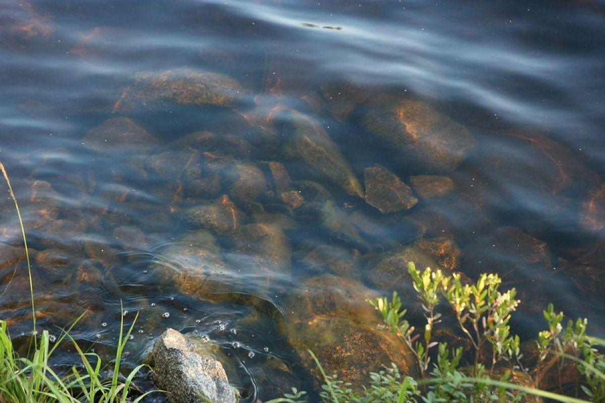 Дорогами Карелии. Тур на квадроциклах по карельской тайге 2025