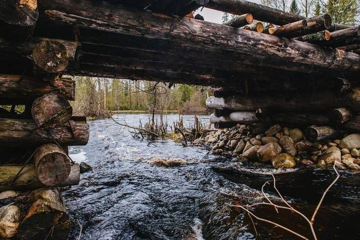 Дорогами Карелии. Тур на квадроциклах по карельской тайге 2025