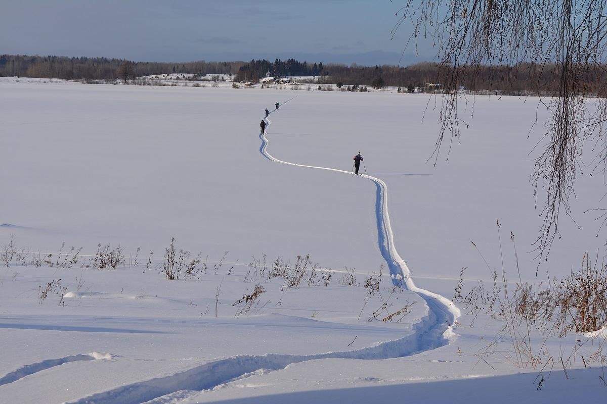 Лыжный тур "2 дня в Приладожье"