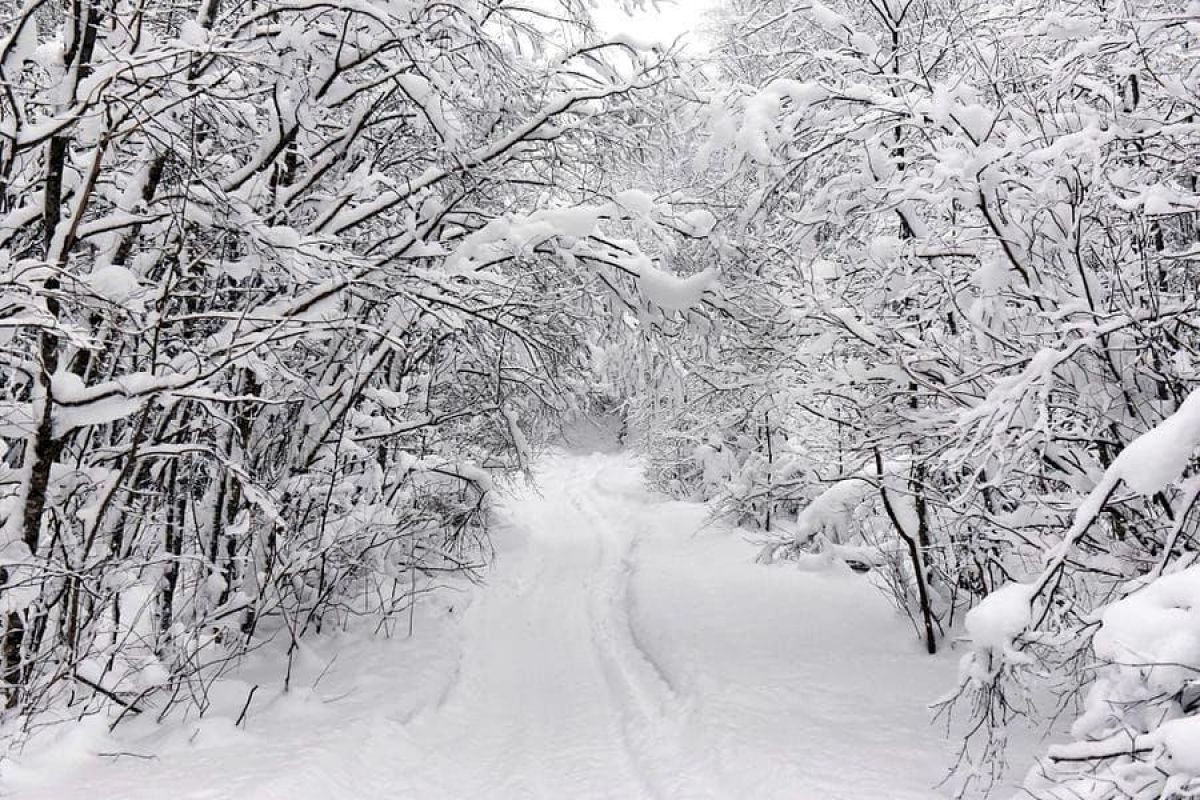 По озерам Карелии на снегоходах. 6 часов.