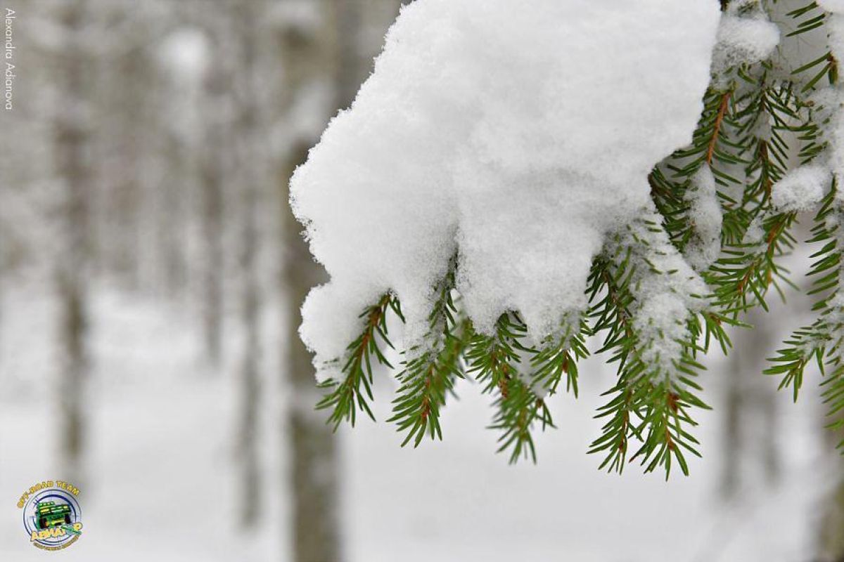 Однодневные снегоходные маршруты по Карелии