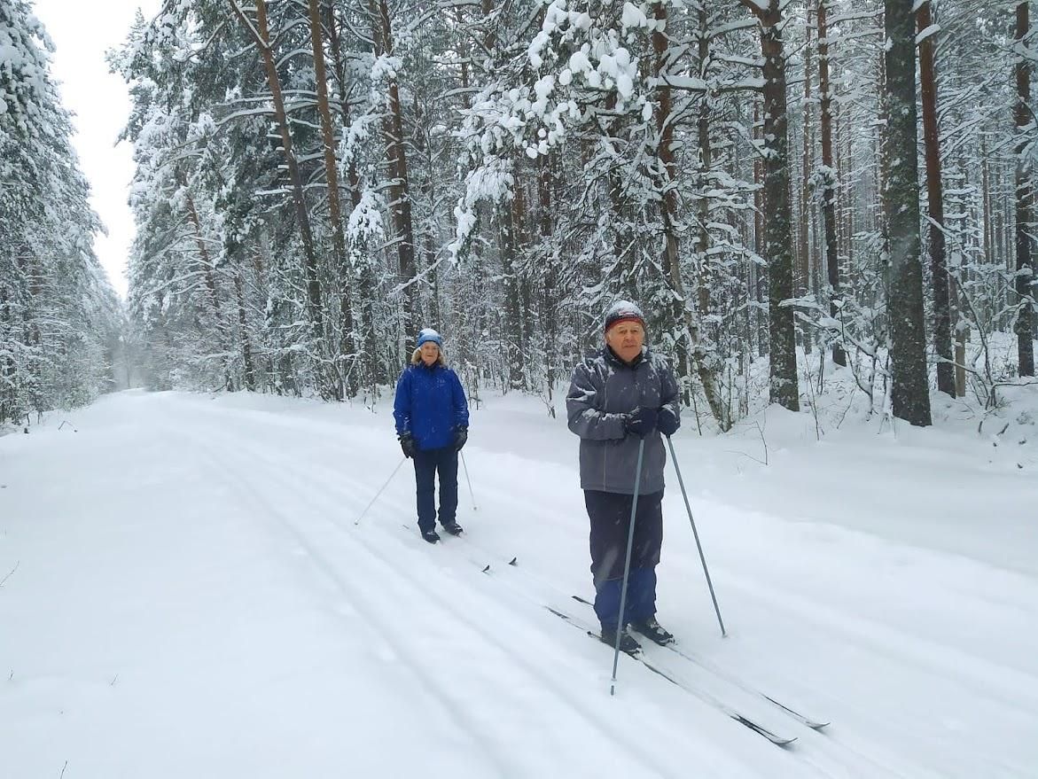 Лыжный тур "2 дня в Приладожье"