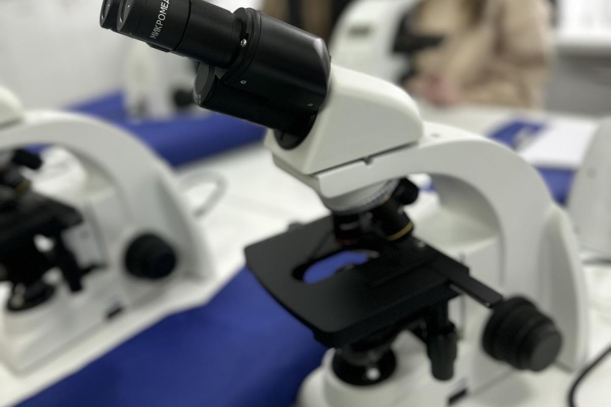 "Экология природы - экология души". В рамках проекта "Классная страна"