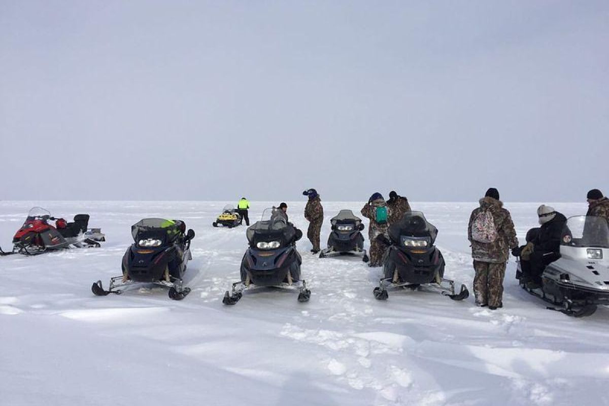 снегоходы Кижи