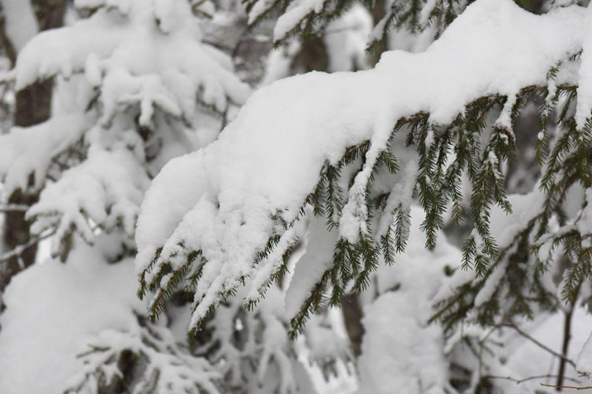 Снегоходный тур "Великие озера: от Онеги до Ладоги"