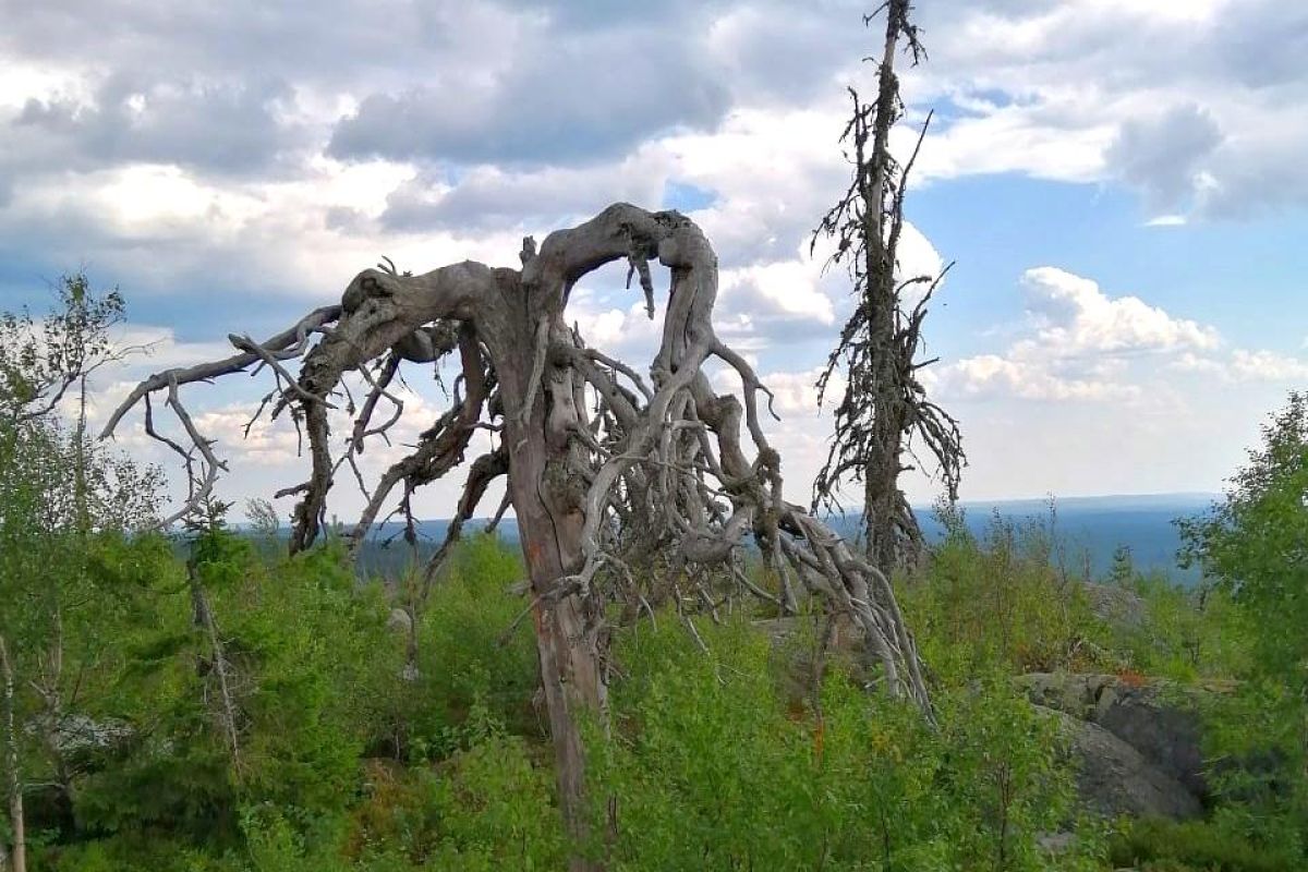Мистическая гора Воттоваара