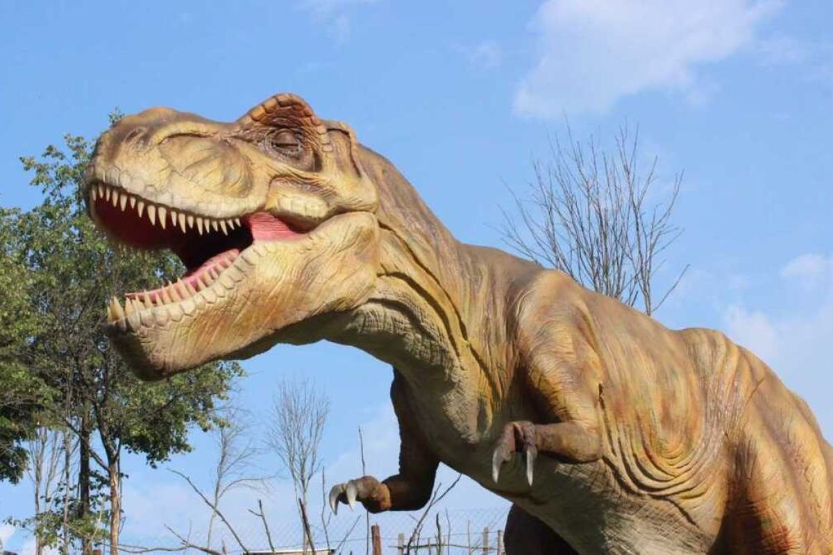 Пешелань - Арзамас