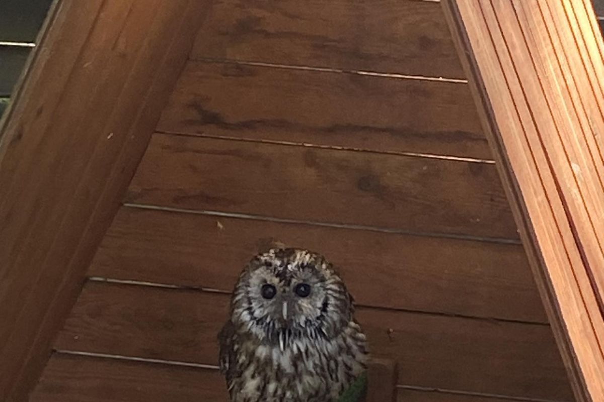 "Экология природы - экология души". В рамках проекта "Классная страна"