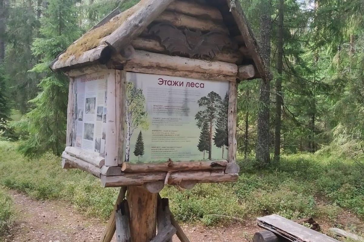 "Экология природы - экология души". В рамках проекта "Классная страна"