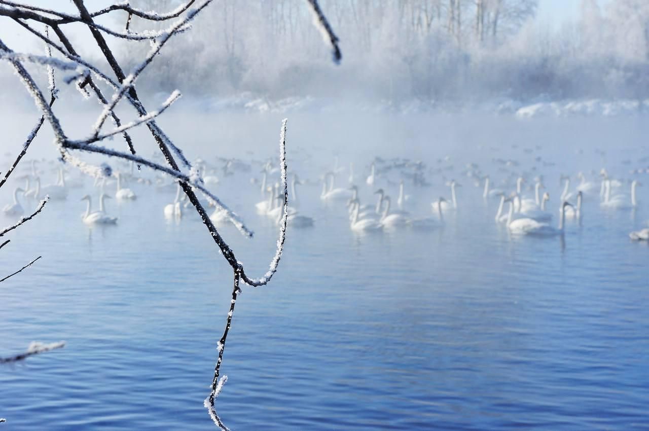 Здравствуй, зимний Алтай!