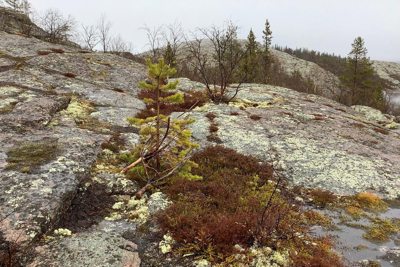 3 дня - о. Немецкий (Кузова) - о. Соловецкий