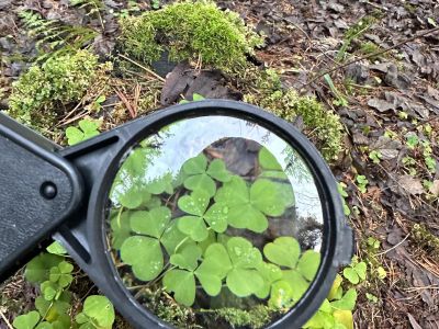 "Экология природы - экология души". В рамках проекта "Классная страна"