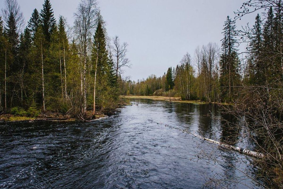 По озерам Карелии на квадроциклах 2025, 6 часов