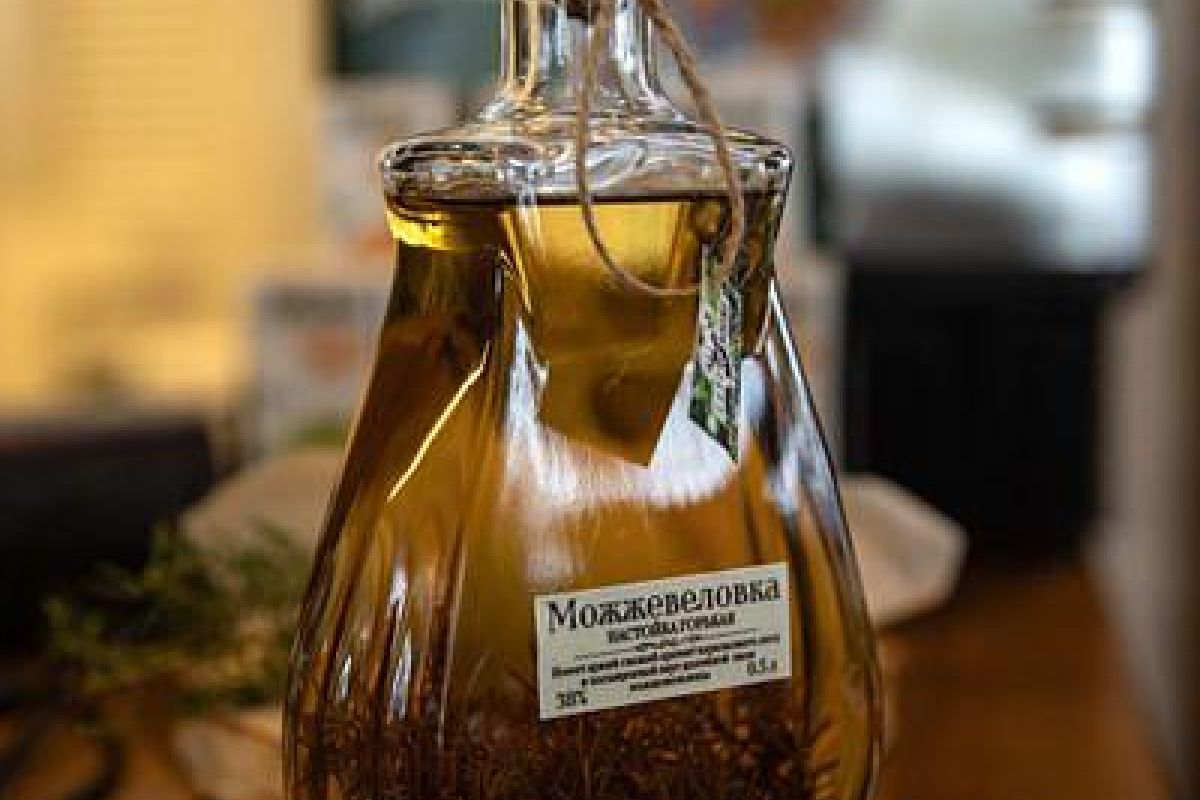 Путешествие на снегоходах на Вулкан Гирвас