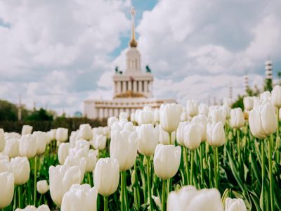 ⚡ "ВДНХ: Традиции и современность"  - пешеходная экскурсия (ГРУППОВАЯ)