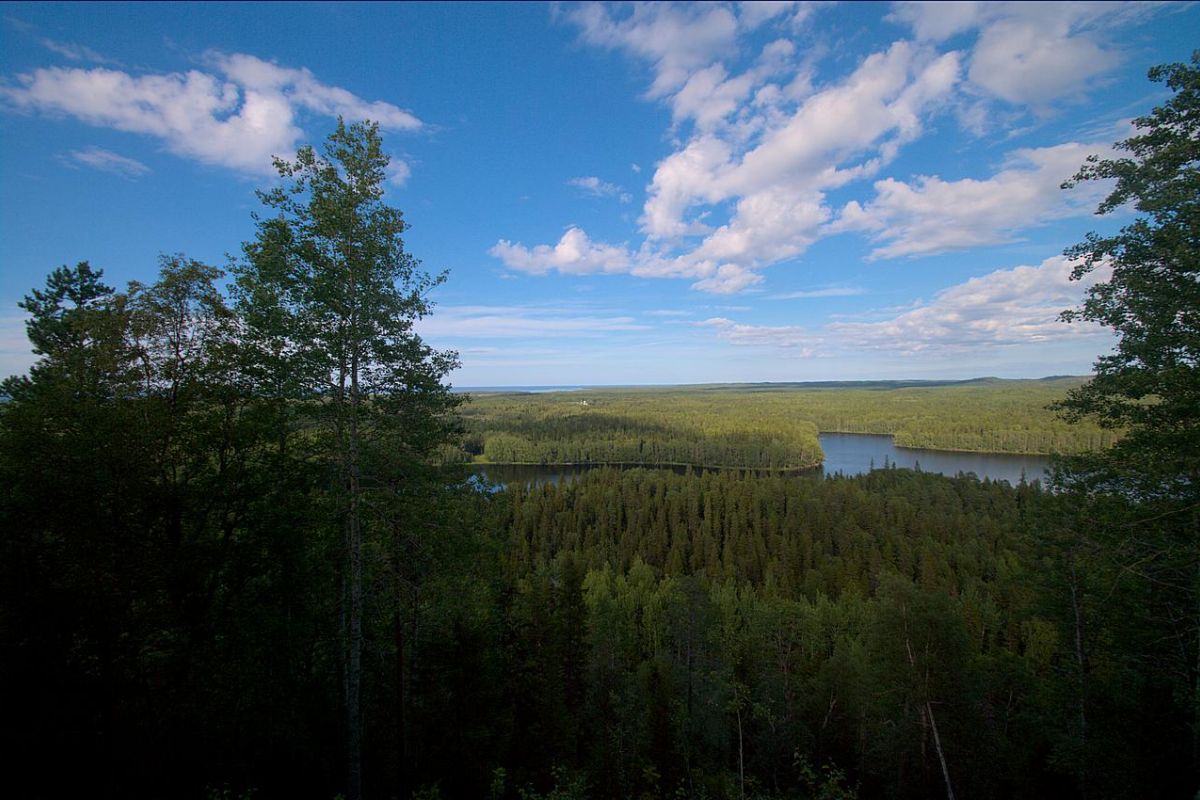 3 дня - о. Немецкий (Кузова) - о. Соловецкий