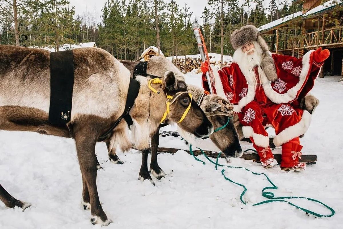 Новогодние каникулы в Карелии + Кижи через Заонежье. 5 дней.