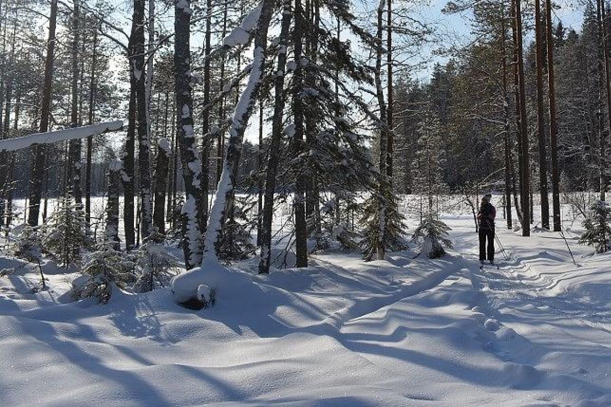 Лыжный тур "3 дня в Приладожье"