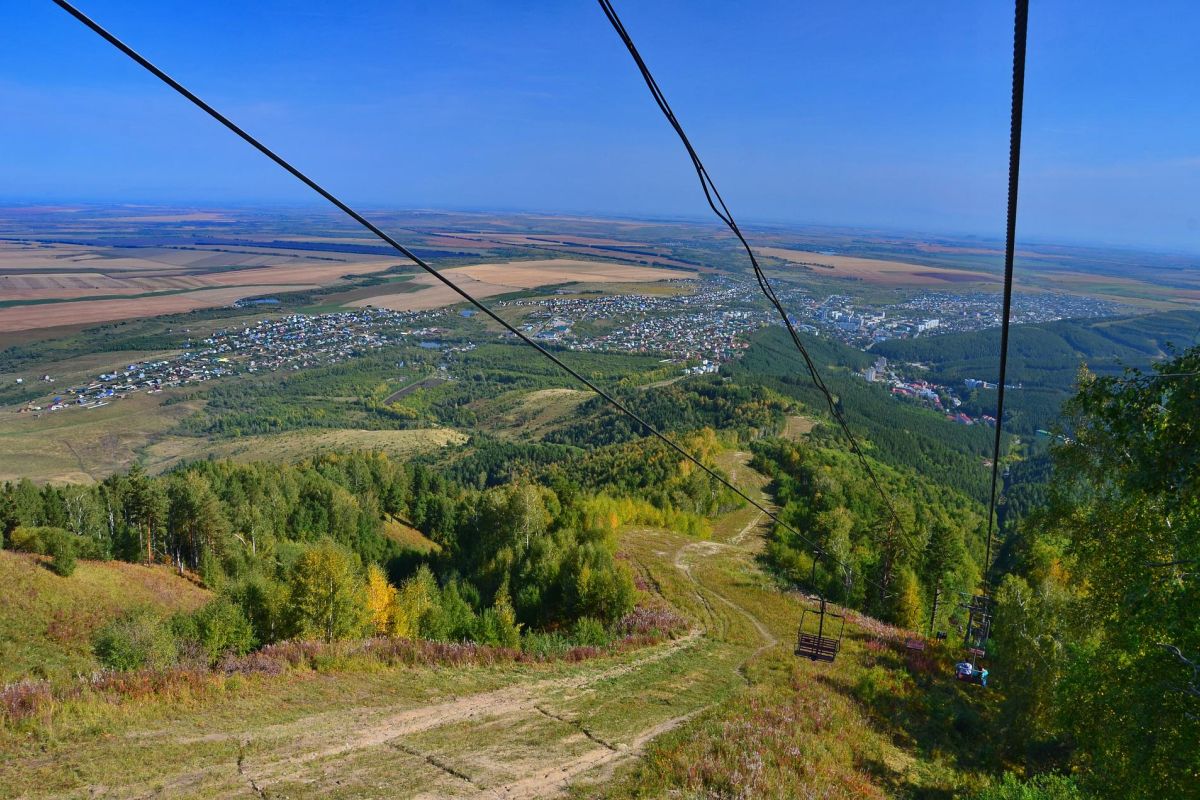 Алтай пантовый