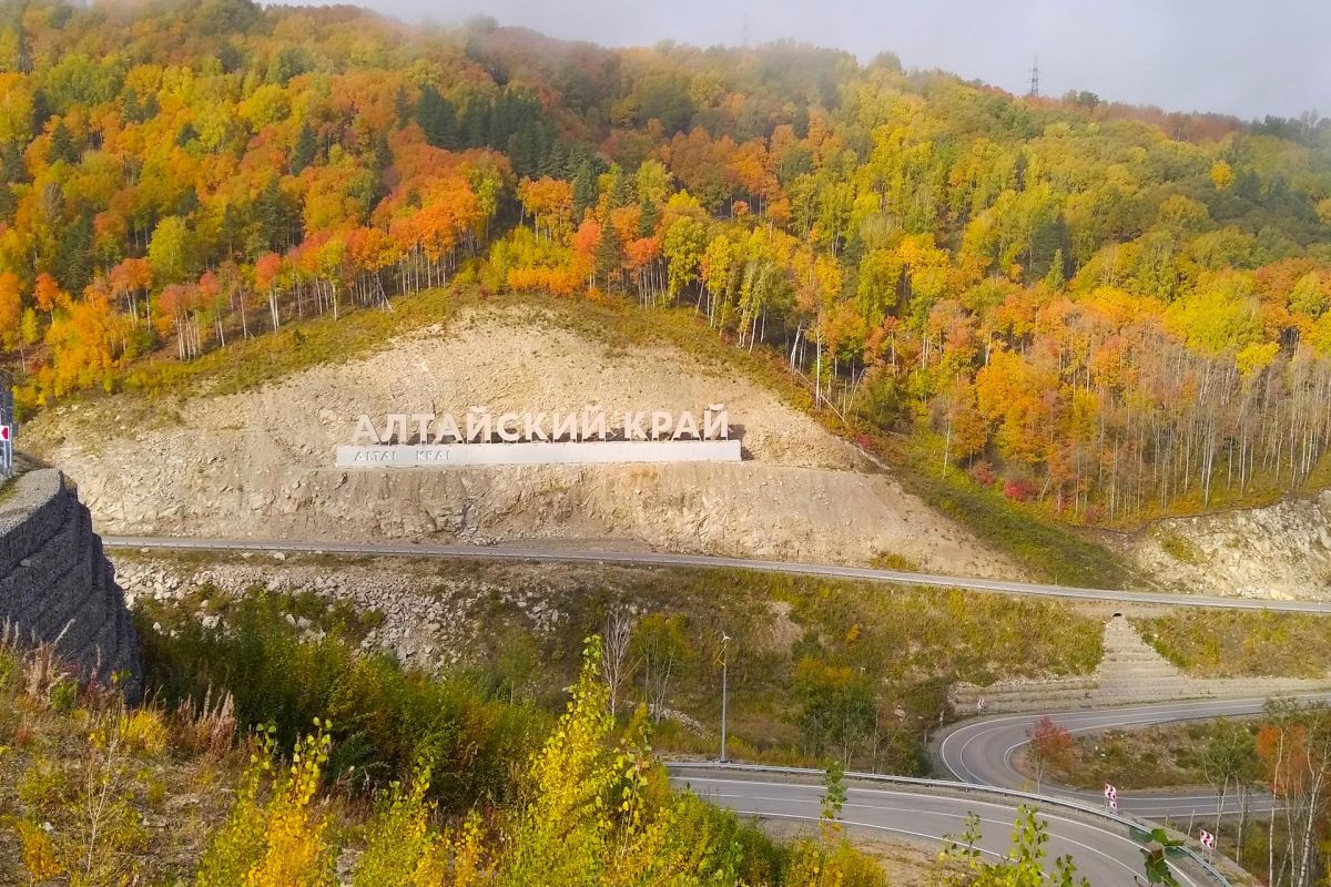 Алтай пантовый