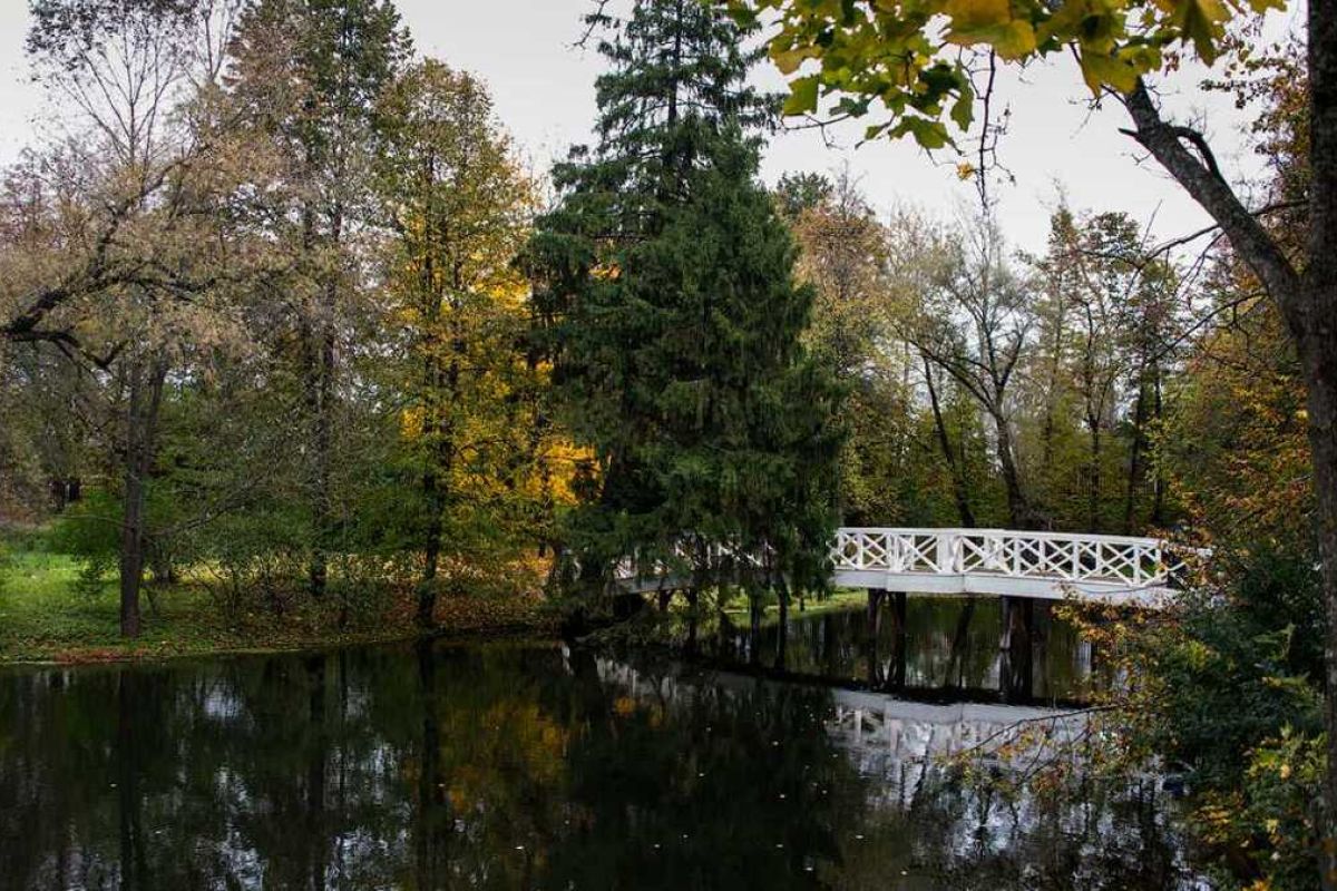 «Нижегородская история-2»