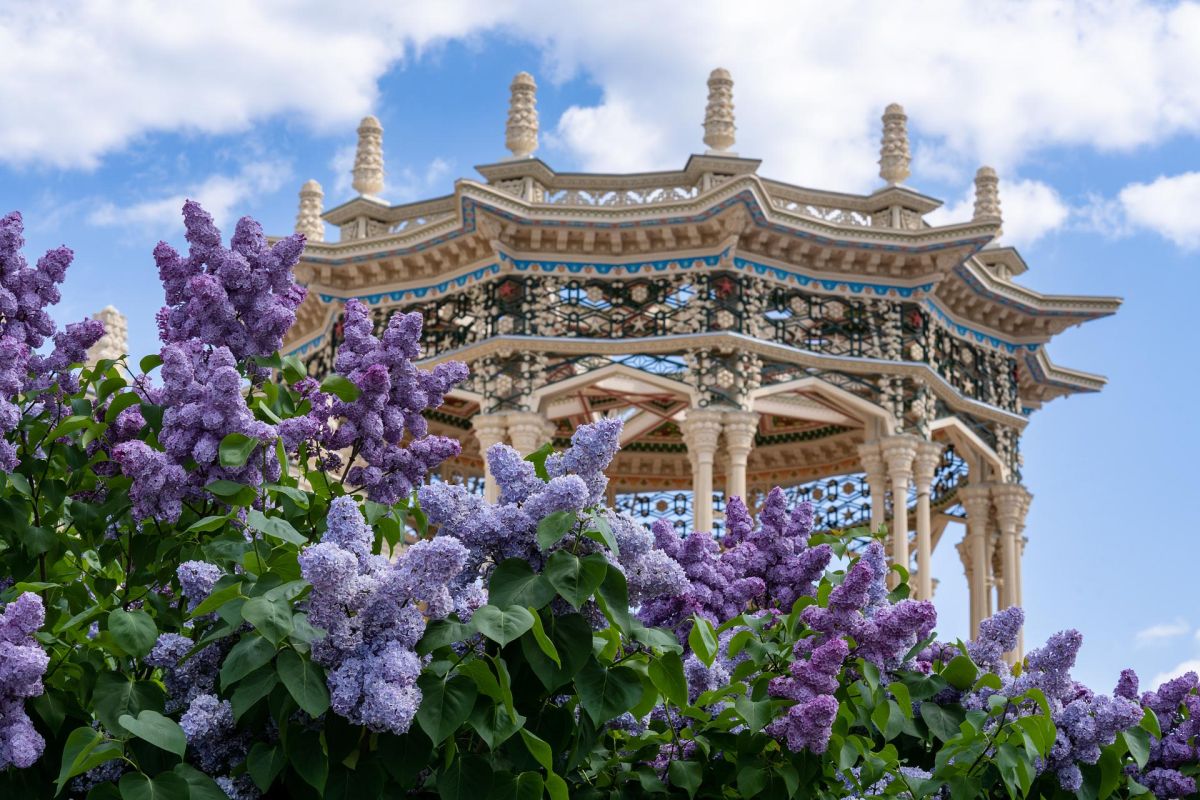 ⚡ "ВДНХ: Традиции и современность"  - пешеходная экскурсия (ГРУППОВАЯ)