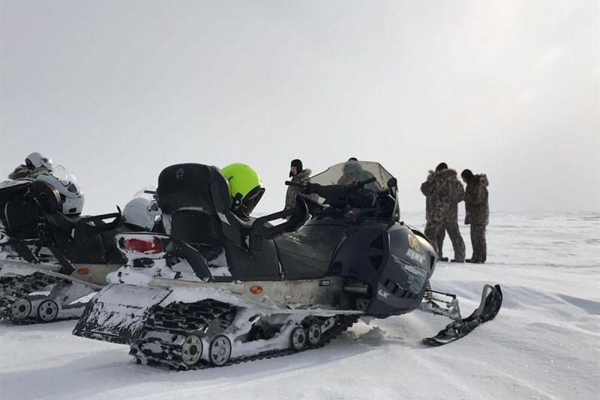 снегоходы Кижи