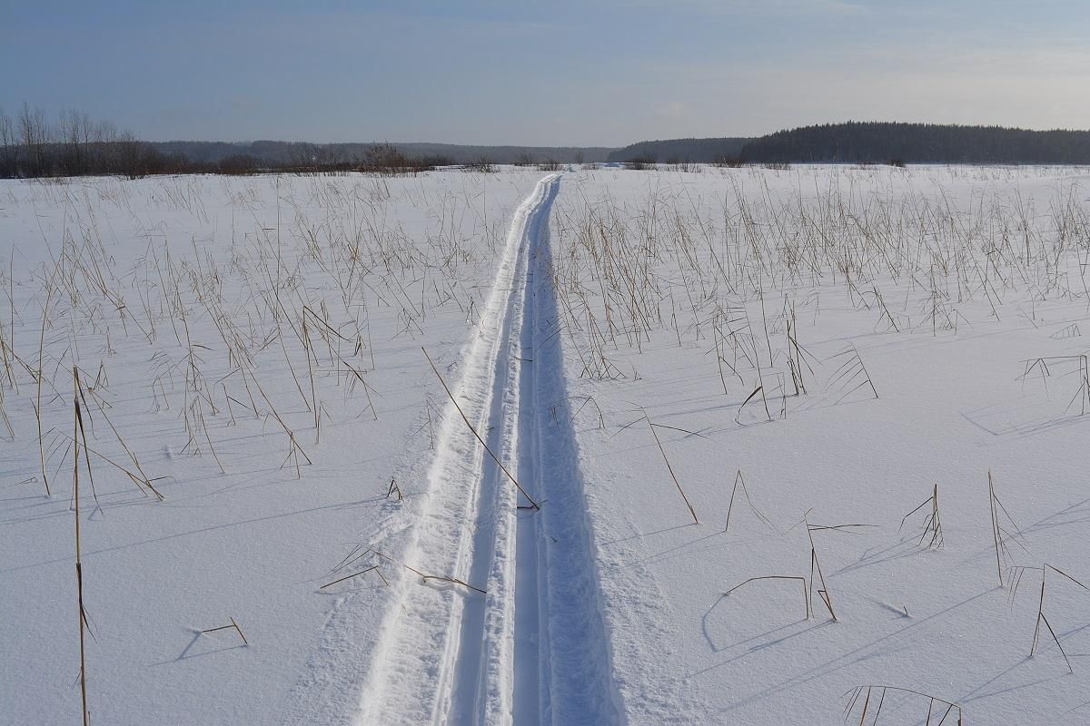 Лыжный тур "2 дня в Приладожье"