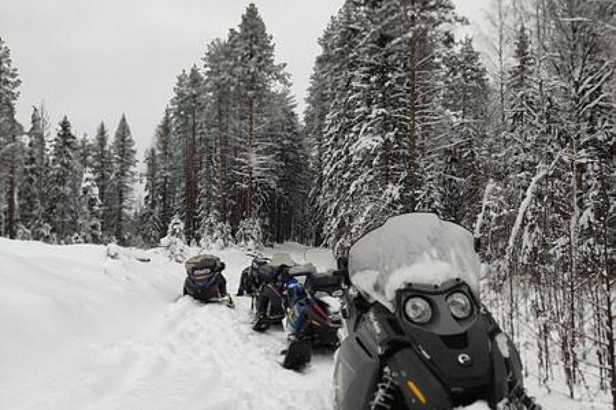 Снегоходный вираж в Карелии