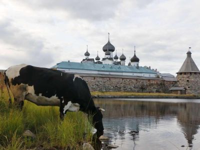 ТУР «СОЛОВКИ - ГАРМОНИЯ СЕВЕРА» из Москвы 2026 год