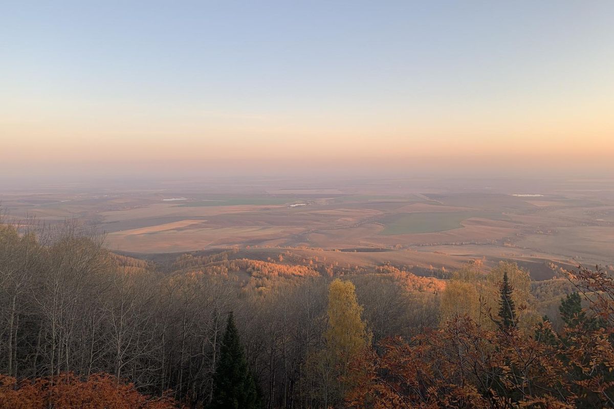 Алтай пантовый