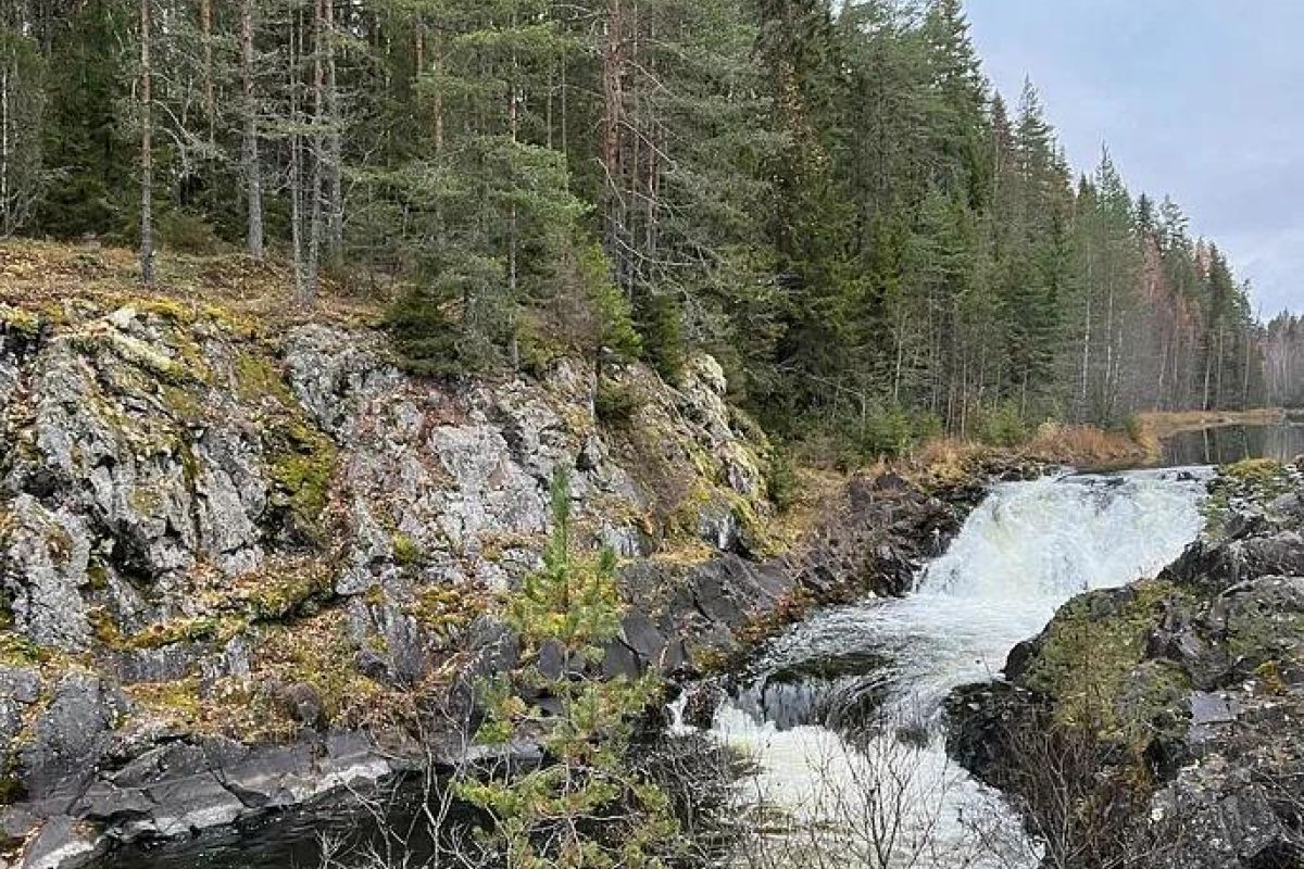 «Перезагрузка в Карелии» 8 дней/7 ночей