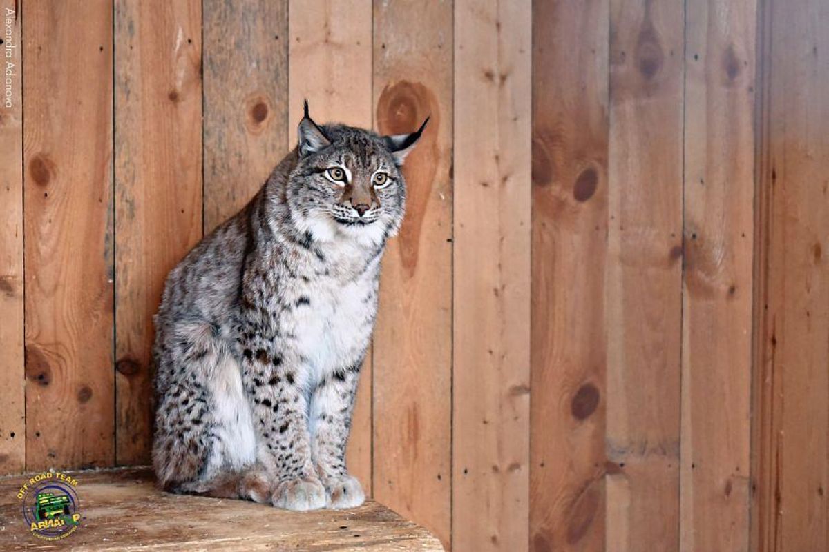 Однодневные снегоходные маршруты по Карелии