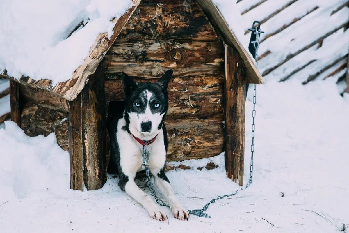 В гости к Карельскому Деду Морозу — Талвиукко