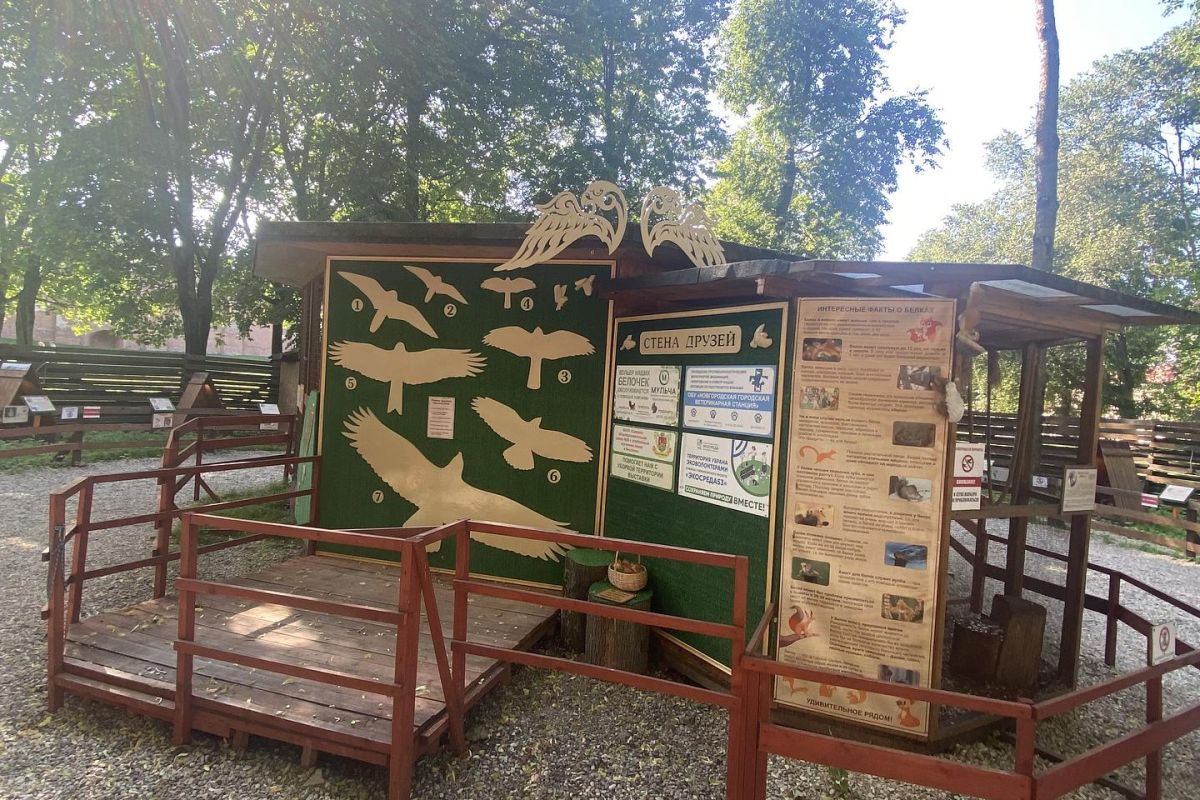 "Экология природы - экология души". В рамках проекта "Классная страна"