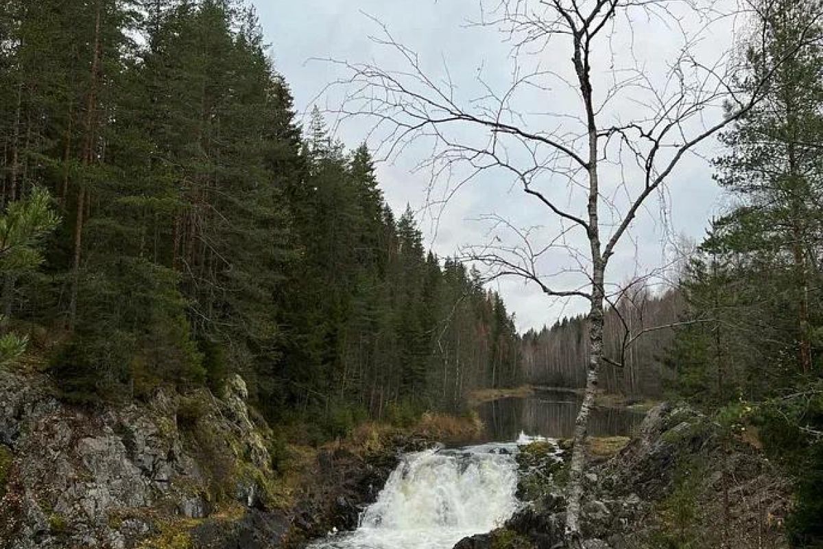 Карельские узоры