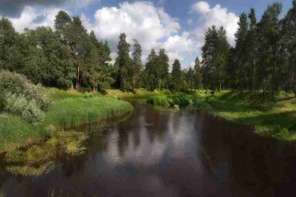 Керженский заповедник