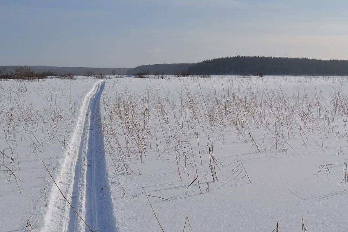 Лыжный тур "4 дня в Спасской Губе"