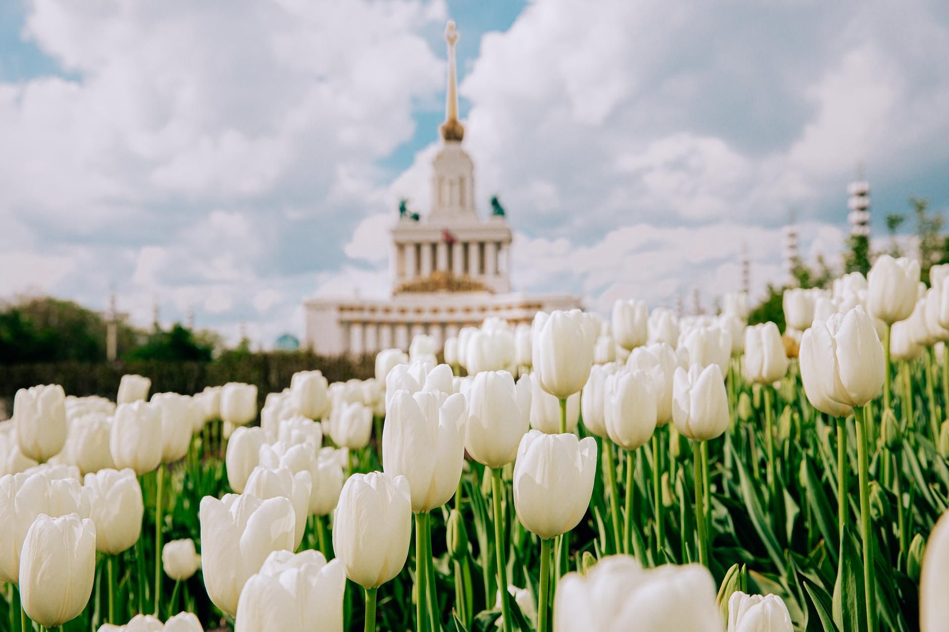⚡ "ВДНХ: Традиции и современность"  - пешеходная экскурсия (ГРУППОВАЯ)