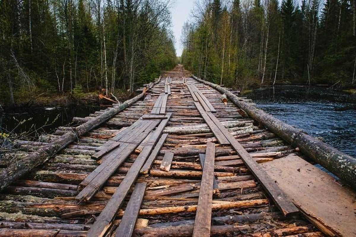 Дорогами Карелии. Тур на квадроциклах по карельской тайге 2025