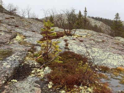 3 дня - о. Немецкий (Кузова) - о. Соловецкий