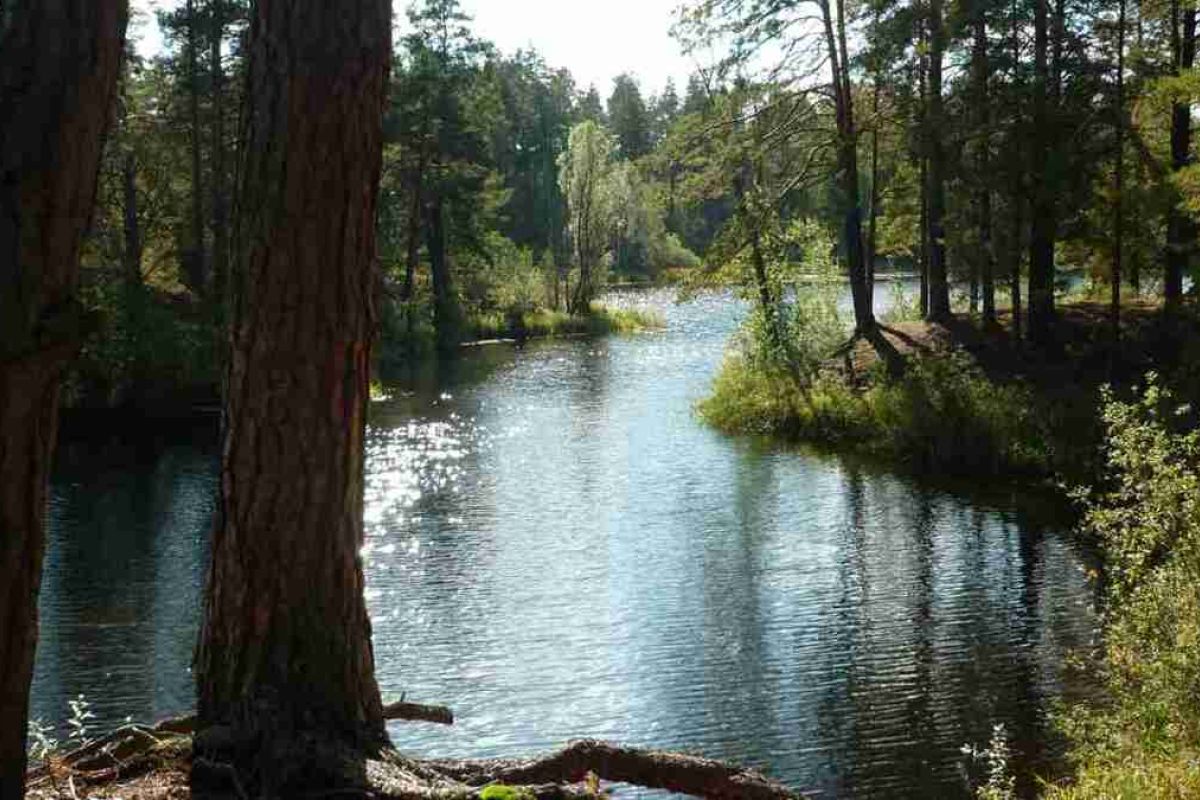 Керженский заповедник