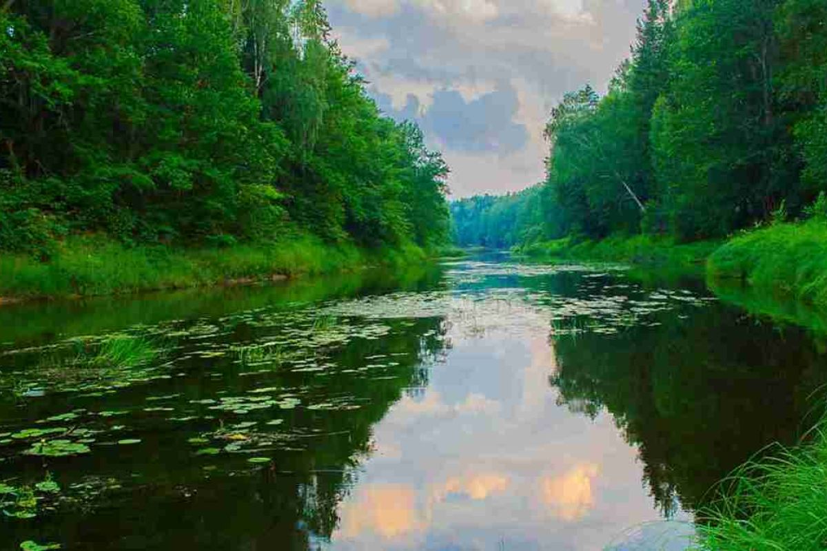 Керженский заповедник