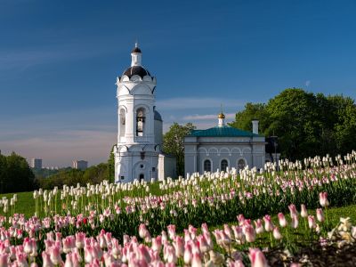 ⚡ "Парк Коломенское - Царская резиденция". Пешеходная экскурсия (ГРУППОВАЯ)