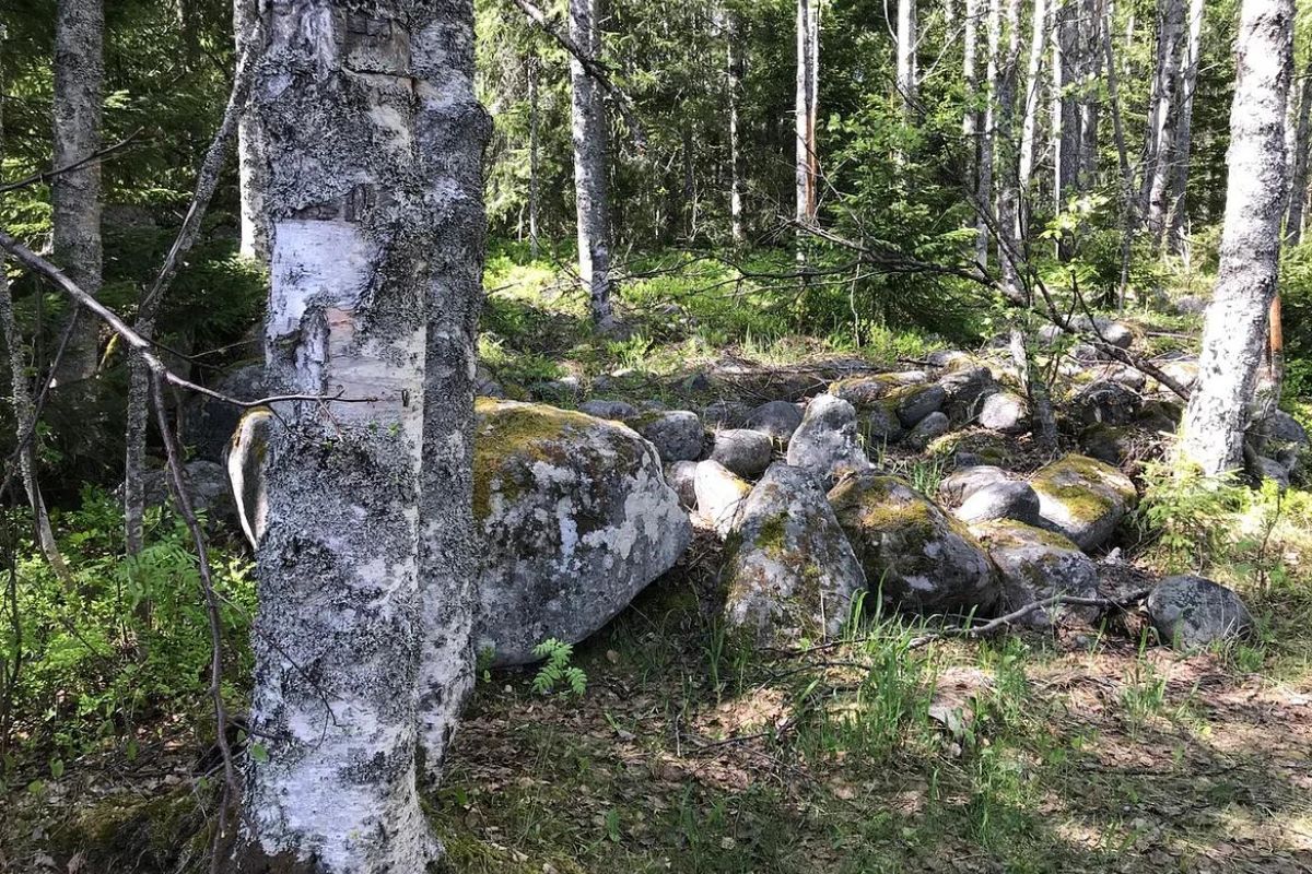 Гора Секирная. Ботанический сад.