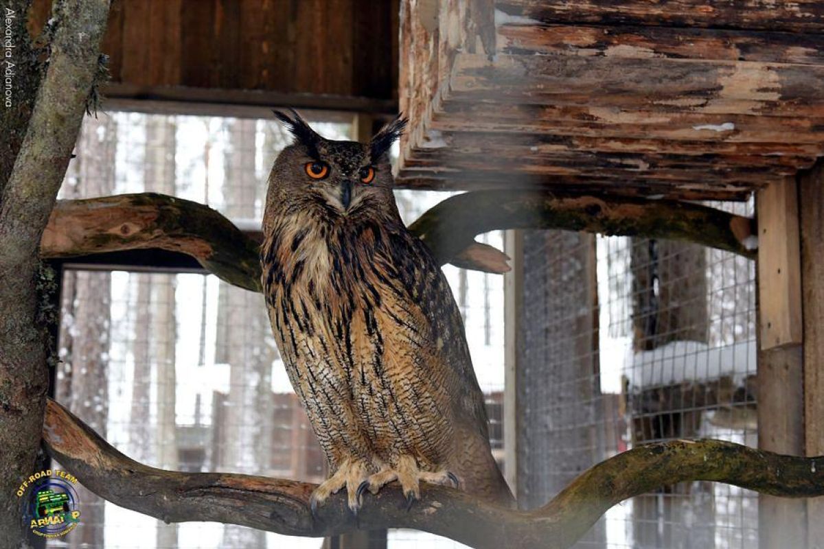 Однодневные снегоходные маршруты по Карелии