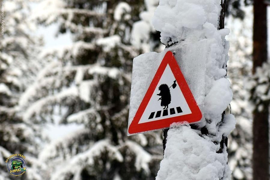 Однодневные снегоходные маршруты по Карелии