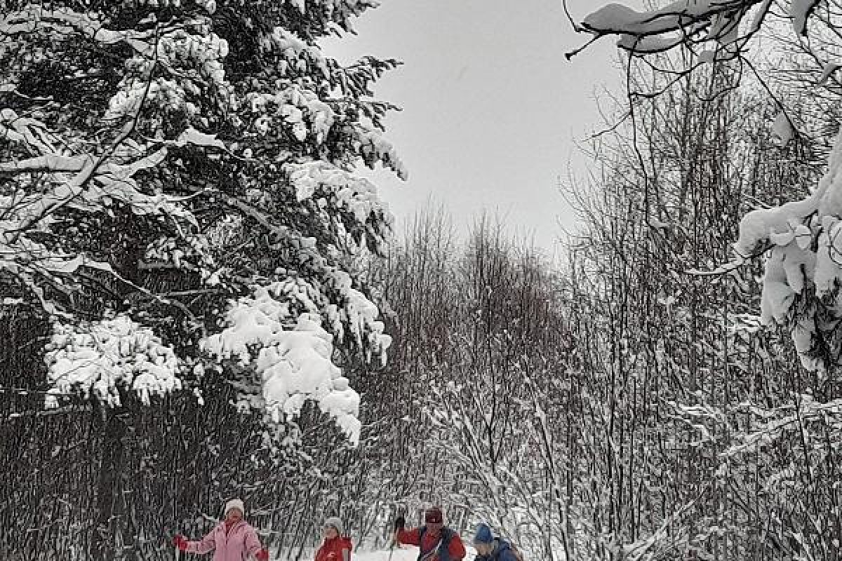 Лыжный тур "3 дня в Приладожье"